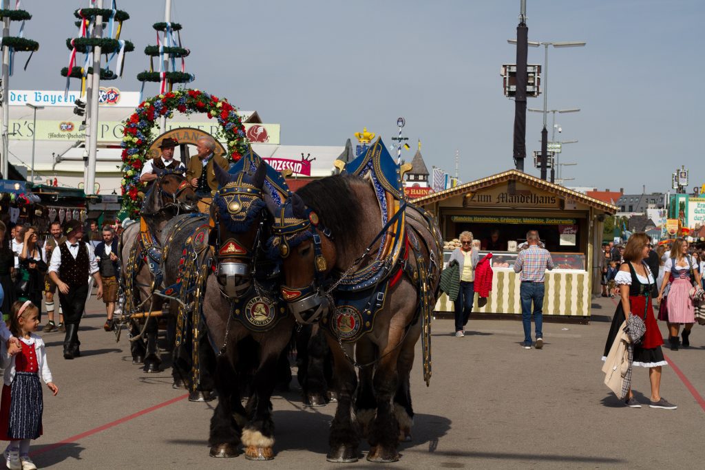 Paulaner Pferdegespann