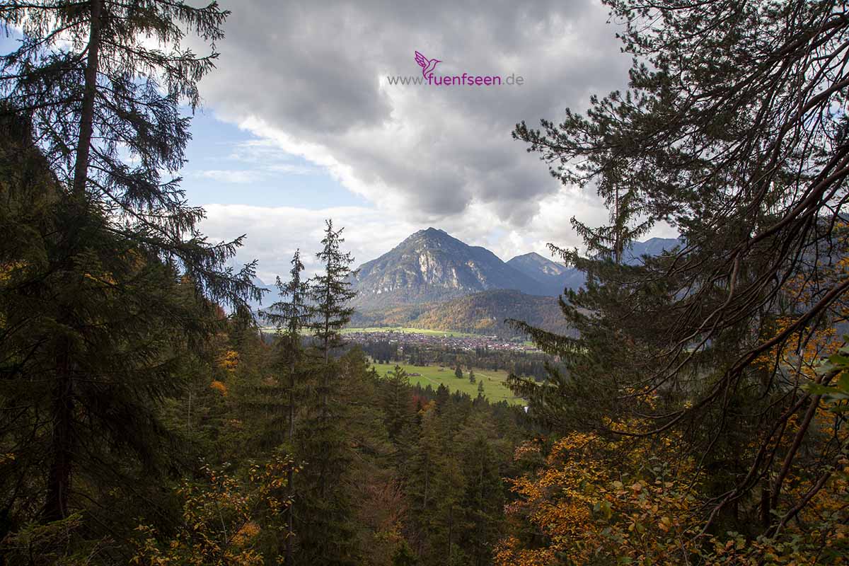 Blick in das Garmischer Tal Waldbaden - Garmisch Partenkirchen