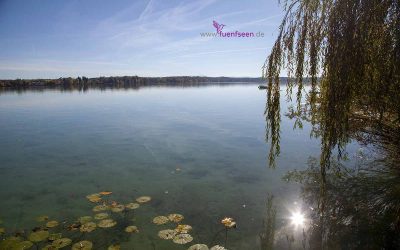 Herbst am Wörthsee im Fünfseenland StarnbergAmmersee