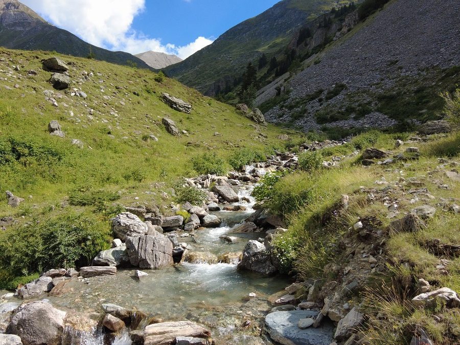 Absage an Wasserkraftwerke im Nationalpark – Nordmazedonien widerruft Konzessionen