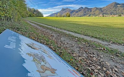 ab 02.02.2023 Kurtheater Tutzing Kinoprogramm 37 MundArt Weg am Chiemsee