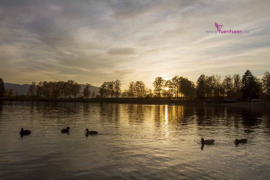 BSstaffelsee191103 5340