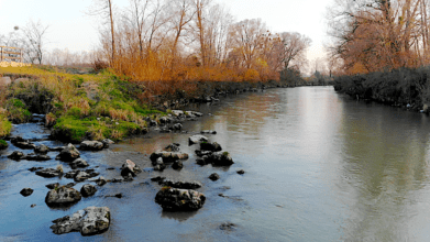 Die Ammer Wildfluss und seine Menschen