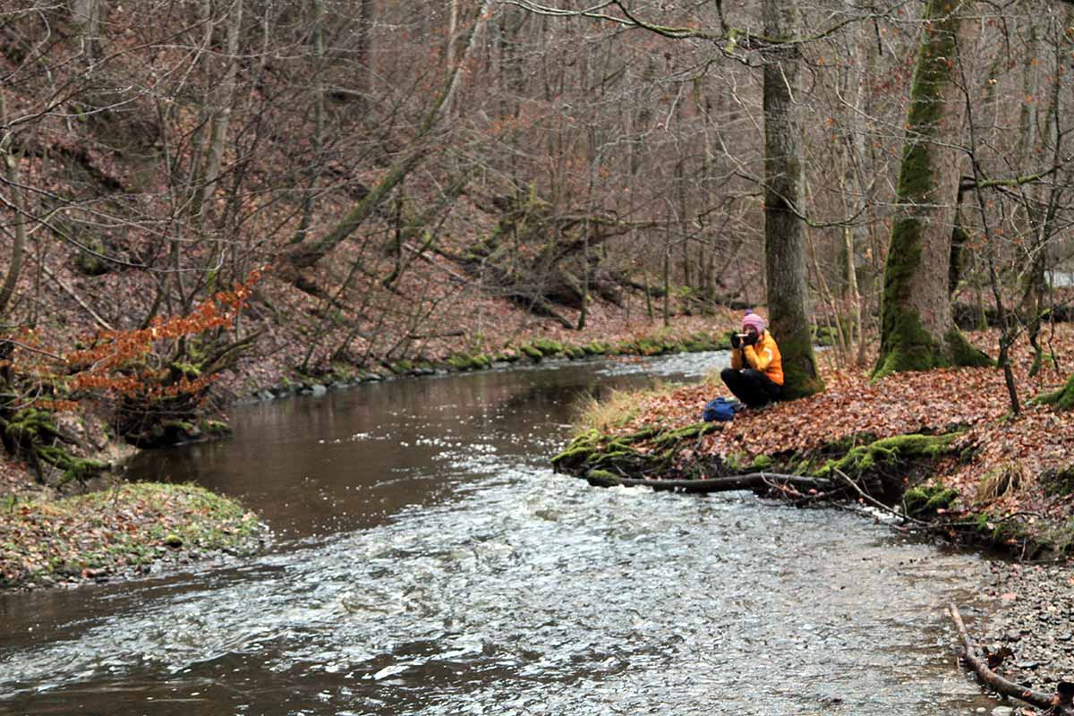 Maisinger Schlucht Rauhnachtwanderung Maisinger Schlucht Rauhnachtwanderung fuenfseen