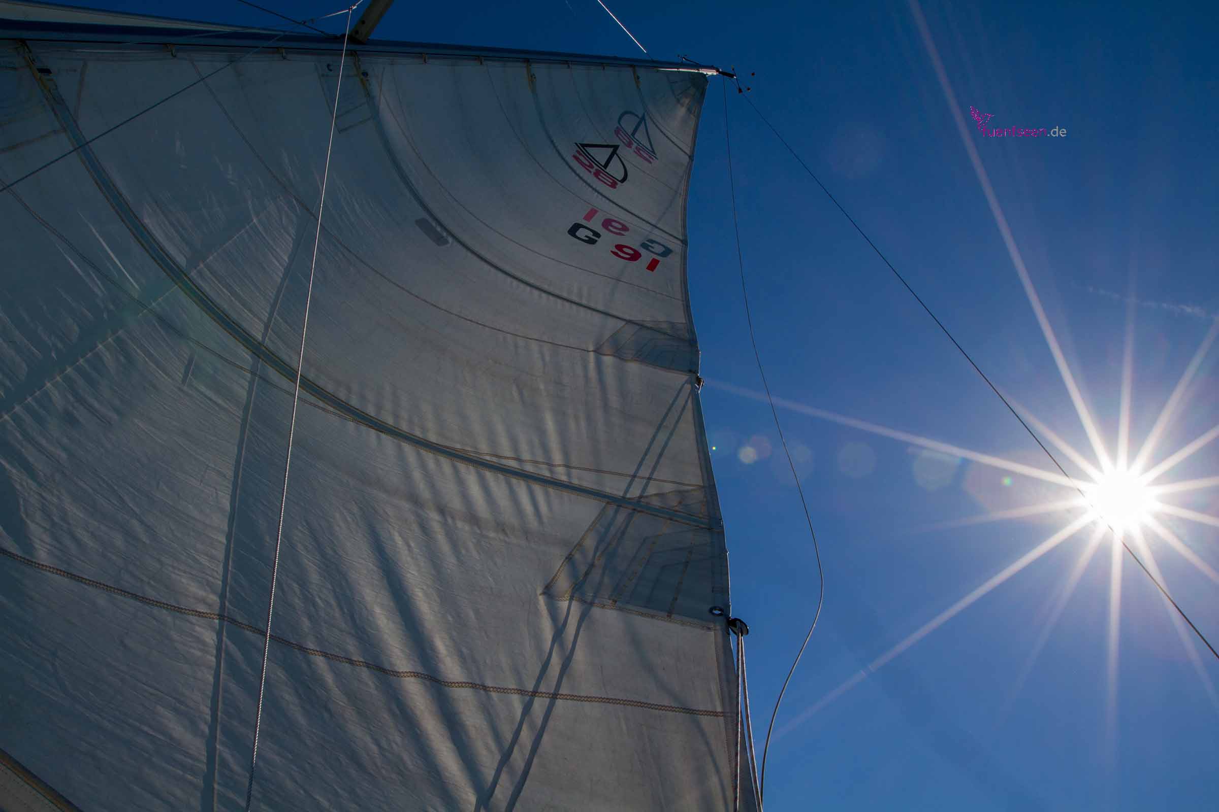 Ammeree Segeln fuenfseen Segel im Wind am Ammersee mit Gegenlicht Bayern