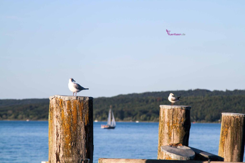 Dießener Seeanlagen am Ammersee
