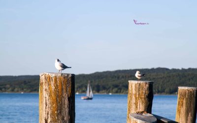 08.07.2023 Einweihung in den Dießener Seeanlagen