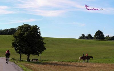 Adressenverzeichnis Tourismus bayerische Seen 11 Gemeinde Frieding am Ammersee