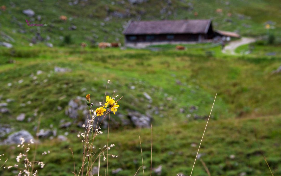 Hoher Gaif Wettersteingebirge