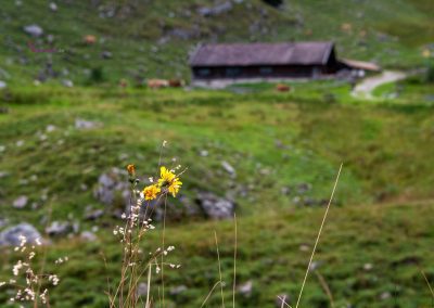 Hoher Gaif Wettersteingebirge