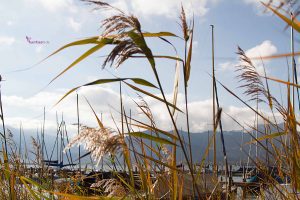 tegernsee