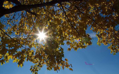 Adressenverzeichnis Tourismus bayerische Seen 25 Villa Panoramablick, Tegernsee