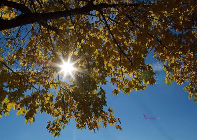 Villa Panoramablick, Tegernsee