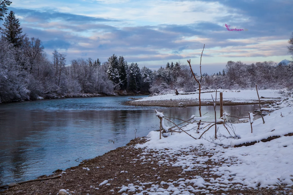 geführte Wanderung Pupplinger Au Wolfratshausen