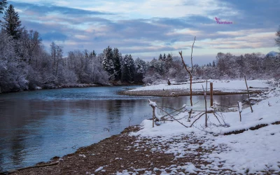 ab 02.02.2023 Kurtheater Tutzing Kinoprogramm 37 Winterwanderung Pupplinger Au