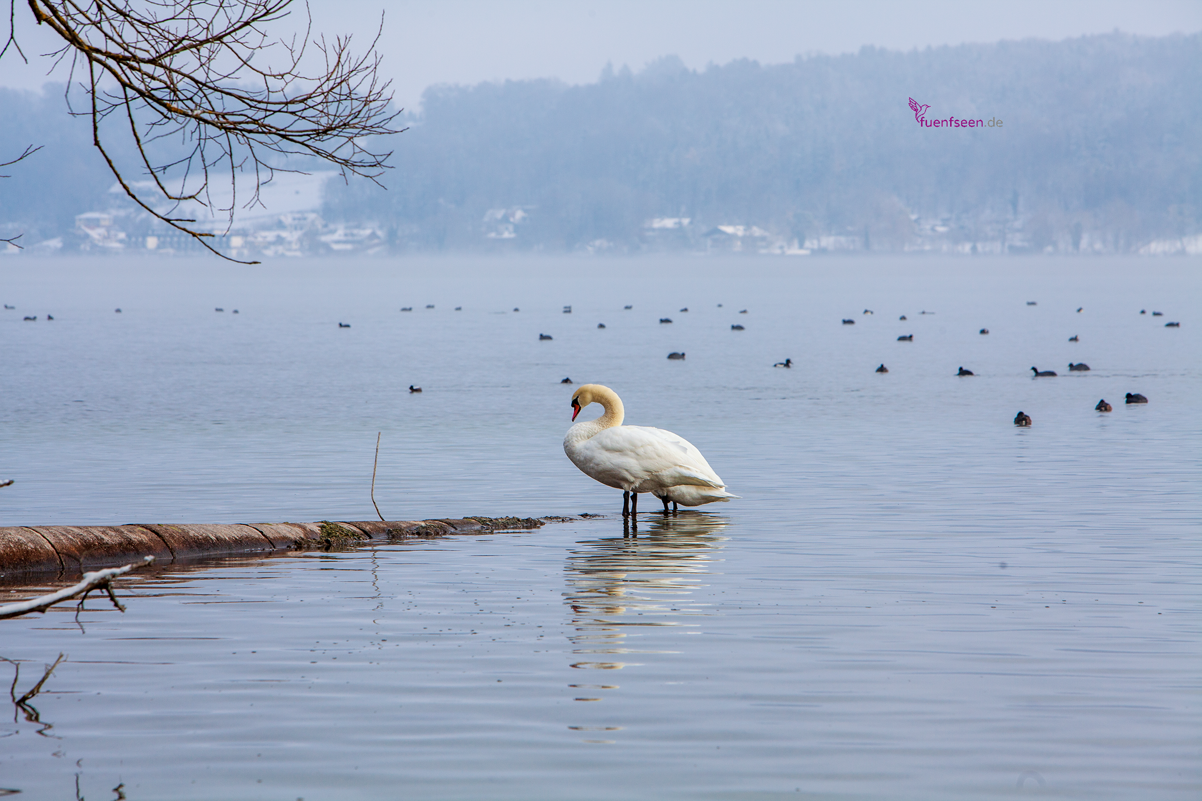 Starnberger See inspirierende Ruhe für Tagungen und Firmenveranstaltungen