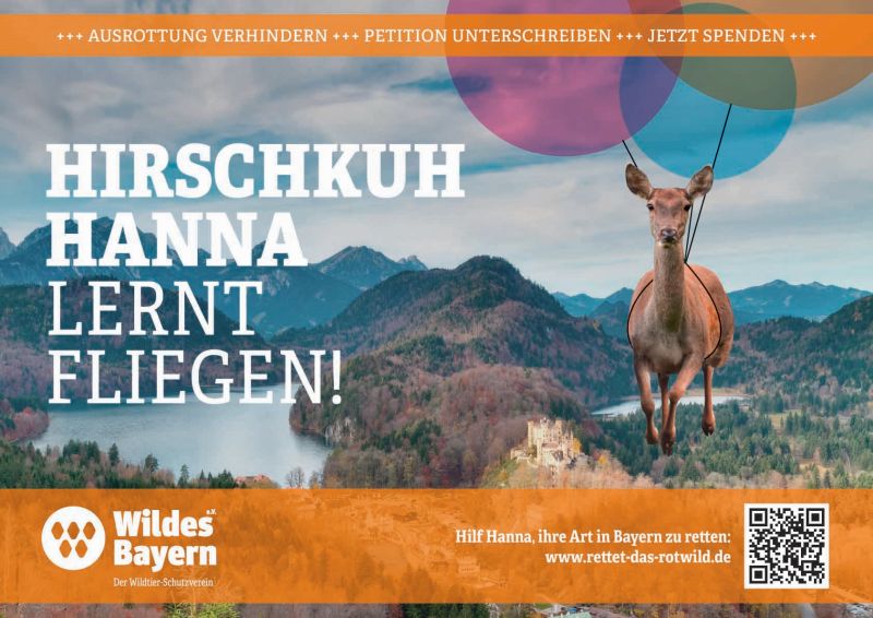 Hirschkuh Hannah will leben – Naturschutz in Bayern