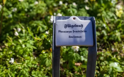 private Gärten Starnberger See