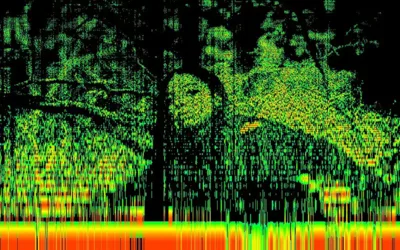 27.01.2024 Stefan Noelle im Kurparkschlösschen Herrsching 47 23.06. – 24.06.2023 keiyaA & Dawuna. TUNE. Sound and Beyond