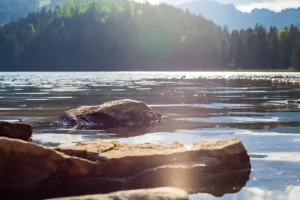 fuenfseen B230601 spitzing widmann IMG 0423 Kopie