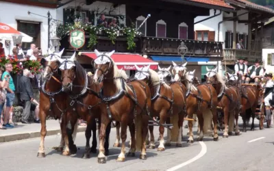 20.08.2023  Internationales  Zehnerzugtreffen in Hundham der Pferdefreunde Leitzachtal e.V.: