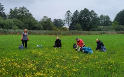 13.07. - 16.07.2023 Filmfestival CINEMA IRAN 2023 13 05.08.2023 Biotoppflege mit dem Bund Naturschutz