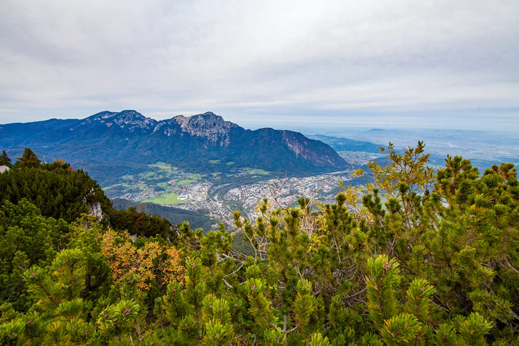 Predigtstuhlbahn Panoramawanderweg