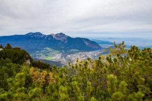 Predigtstuhlbahn Panoramawanderweg