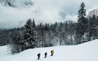 Alpine Awarness Camps – Allgäu