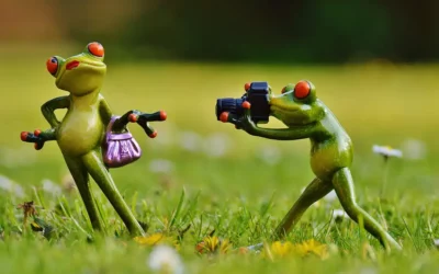 Bist Du Fotograf? Dann kannst Du gleich 200 EUR verdienen