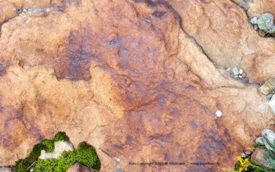 PETITION: Stopp den Ausbau des Kraftwerks Kaunertal!