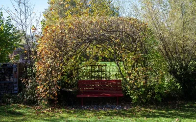 Gartenpflege Stieger Ammersee