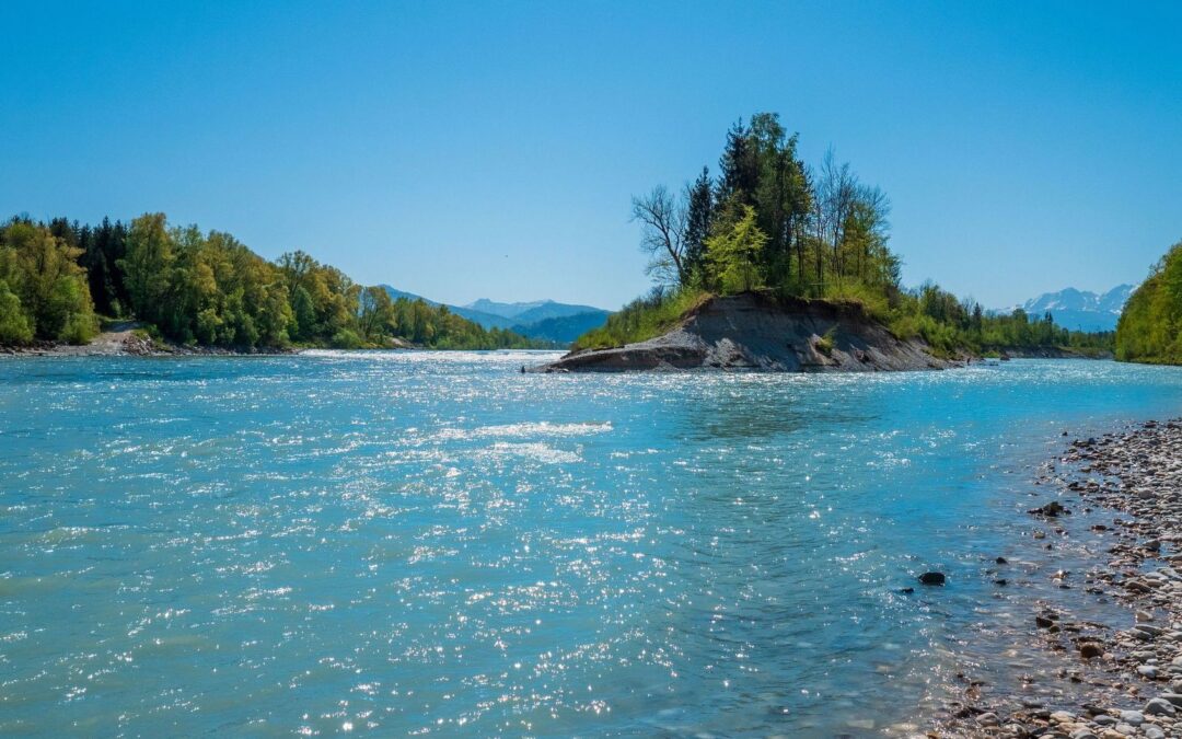 Renaturierung Salzach