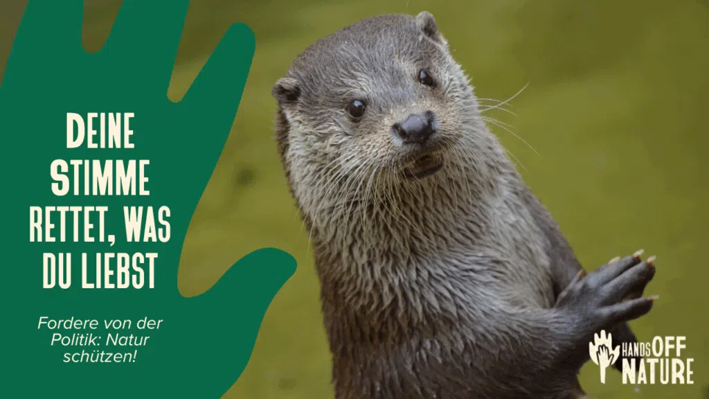 bis 10.09.2025 unterzeichnen! Naturschutz geht uns alle an!