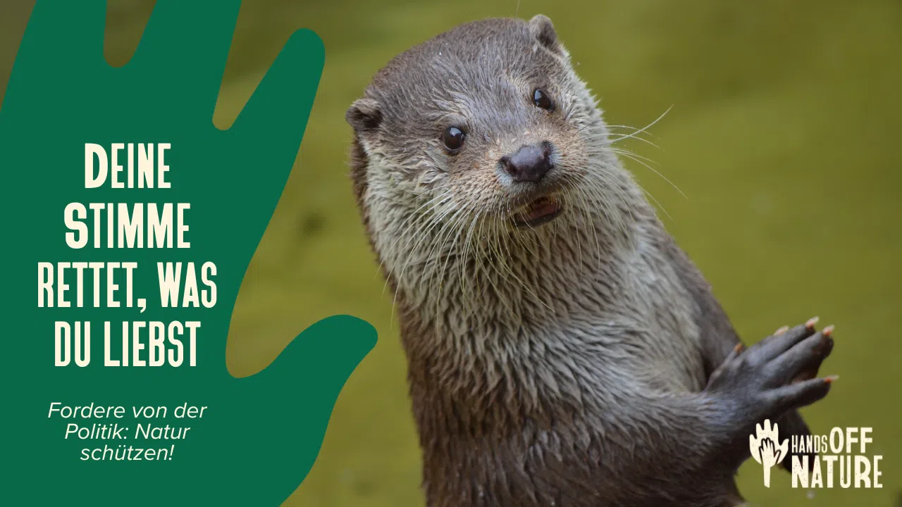 bis 10.09.2025 unterzeichnen! Naturschutz geht uns alle an!