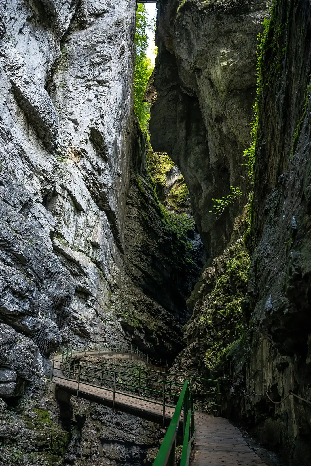 Breitachklamm_Indianerkopf im Inneren der Klamm - Fotograf Dominik Berchtold.jpg