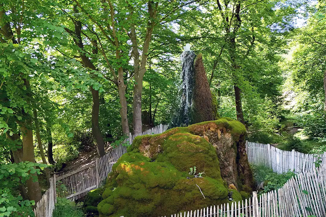Wasserbaum Ockensen_Flecken Salzhemmendorf