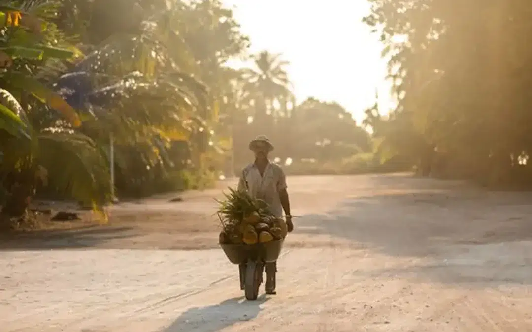 Herz und Seele der Malediven