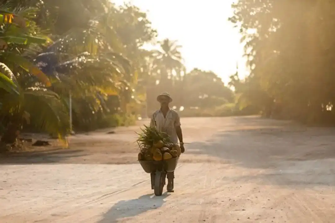 Herz und Seele der Malediven