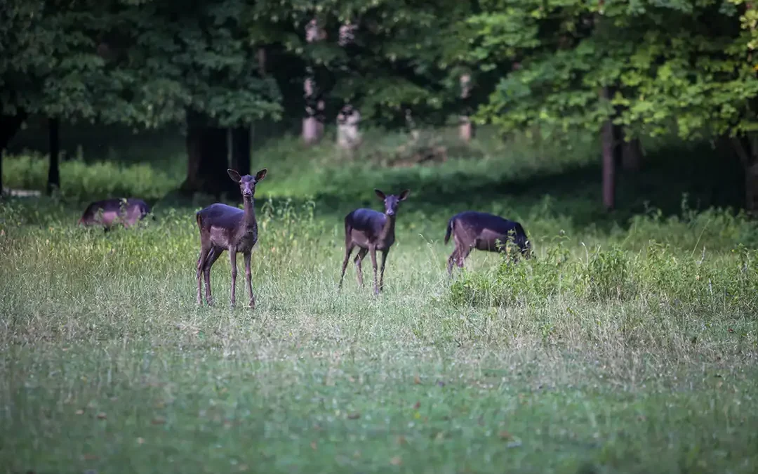 Herbstzeit – Wanderzeit