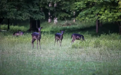 ISPO munich 57 Herbstzeit – Wanderzeit