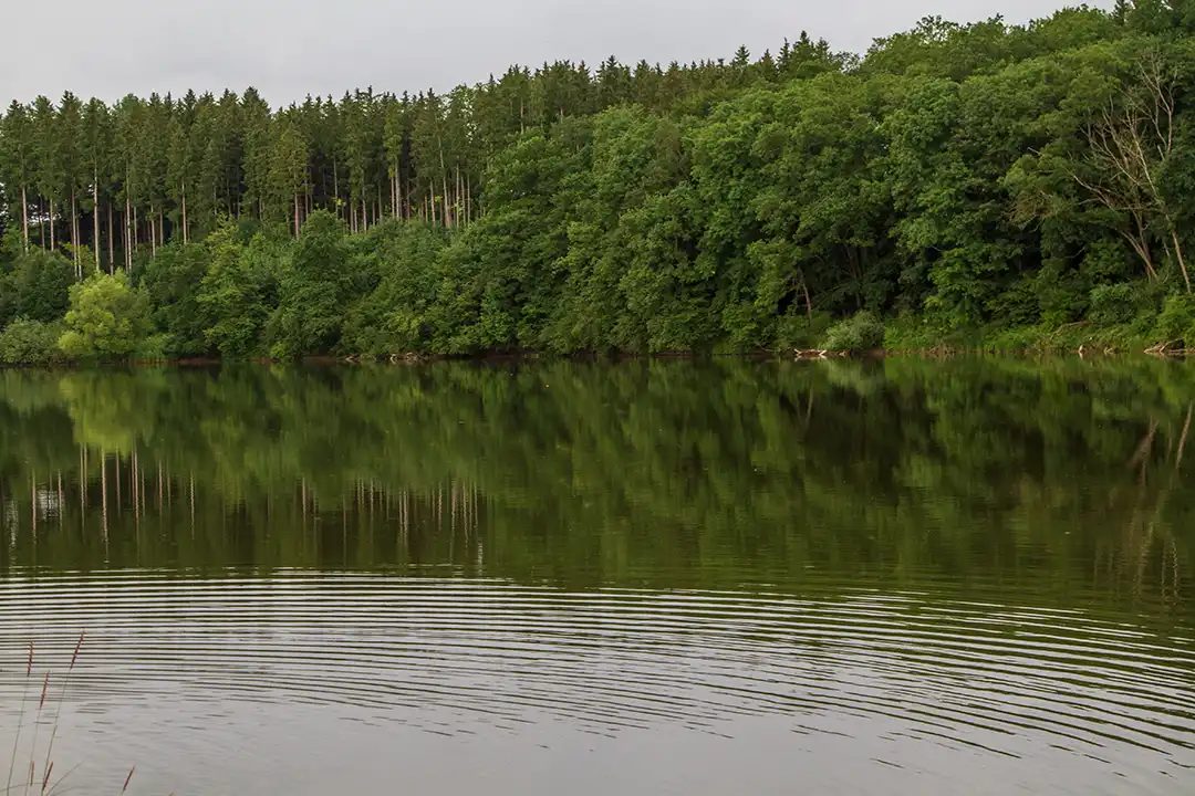 fuenfseen-seehamersee_6791 Kopie traumhaftes Bayern