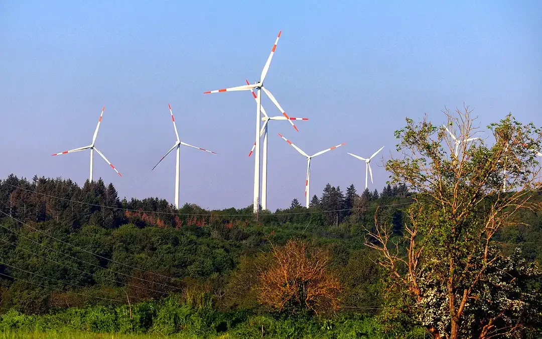 Planungen Windkraft in den Wäldern der bayerischen Tourismusdestination
