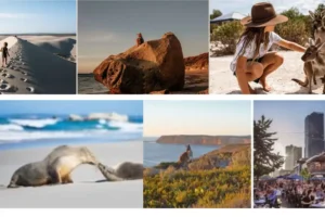 Südaustralien ein Reiseziel für Familien